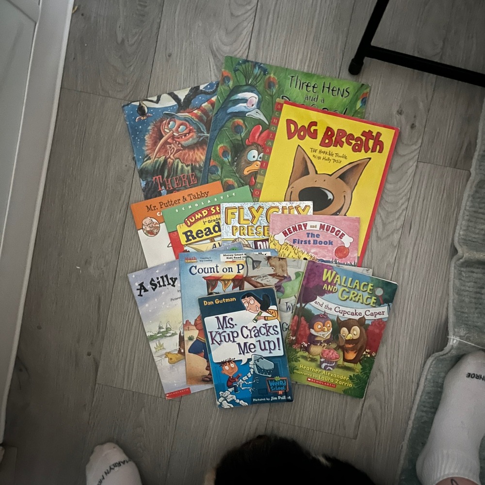 12 Scholastic Kids Book Lot Dav Pilkey Fly Guy Henry Mudge My Weird School